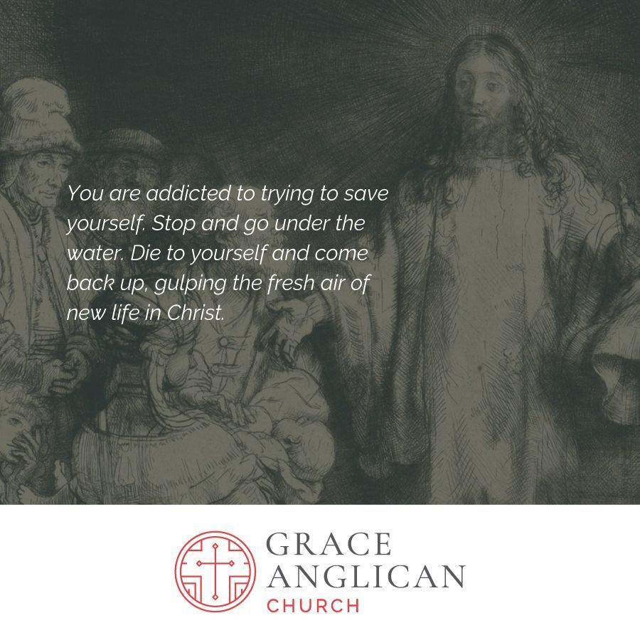 Grace Anglican Louisville (@graceanglou) on Twitter photo 