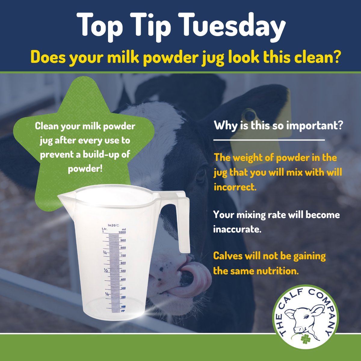Have you ever thought about how the cleanliness of your mixing equipment can have such a big impact on pre-weaning calf nutrition?

Contact us: sales@thecalfcompany.com📧 or call us 01606 869253📞.

#thecalfcompany #calfrearing #milkreplacer