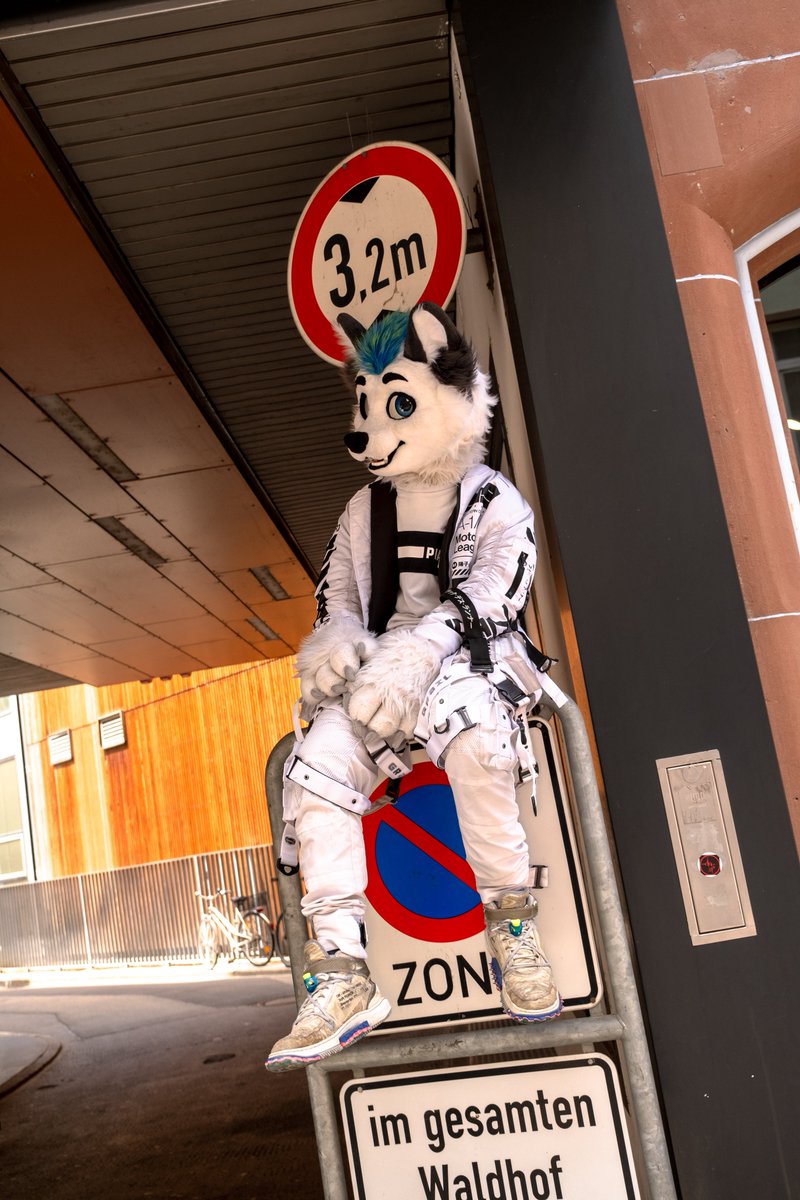 Vibing up here 

#FursuitEveryday