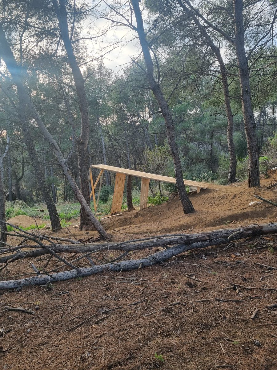 Francisco Molinos tweet media