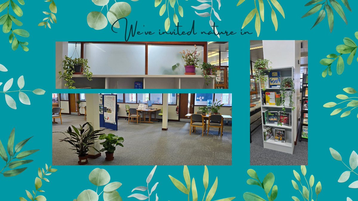 AFBILibrary's tweet photo. We've brought the outdoors inside at the Library here @AFBI_NI Newforge. If you need a change of scenery, feel free to come and work among the greenery or enjoy a tranquil coffee break.
#AFBINI #NatureInspiration #yourafbilibrary https://t.co/vSm8srmPaJ