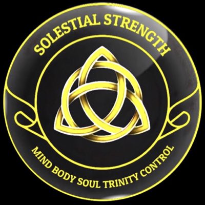 SolestialSAS tweet picture