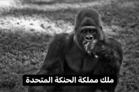 M2lshamr's tweet photo. @11JlJl https://t.co/MXJYTVJ8TD