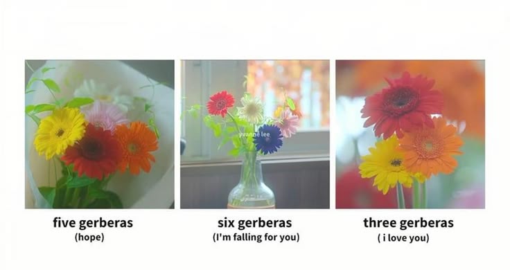 catchours's tweet image. 