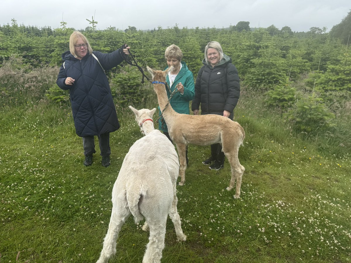 A few hours off for an end of session outing yesterday with Steve and Basil the alpacas.
Yes of course we tried to recruit them to our groups but sadly they were more interested in grazing in the Christmas tree fields.
Back to work today working on plans for session 25/26 😀