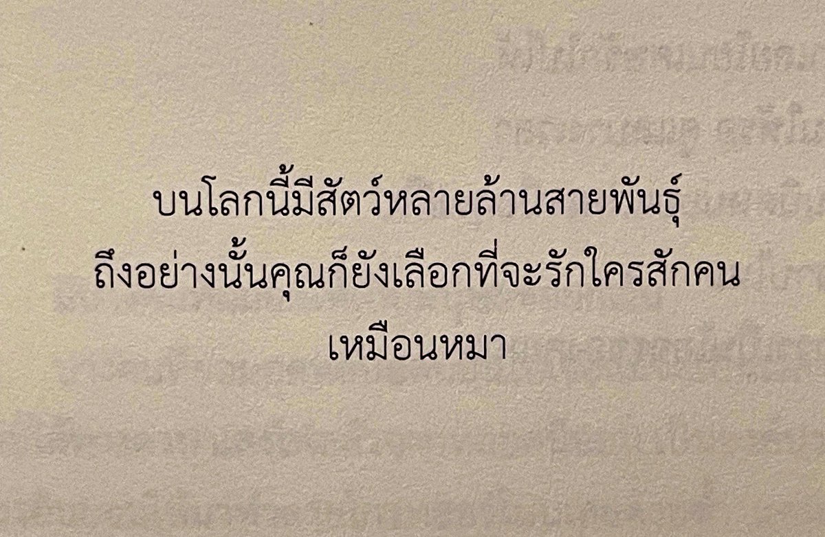 กลิ่นหนังสือ (@klinnangsue) on Twitter photo 