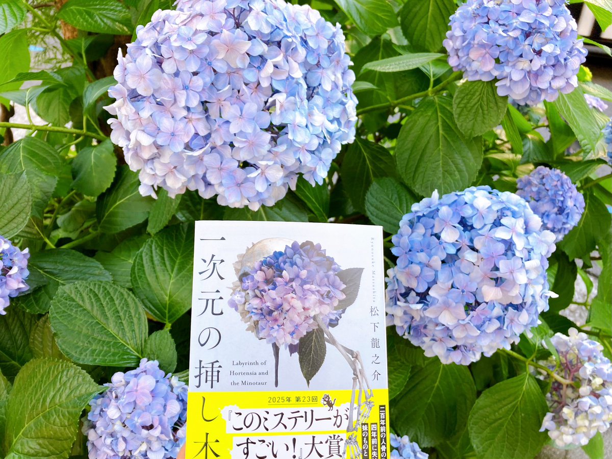 一次元の挿し木』 （松下龍之介著） 街中で紫陽花をよく見かける季節に