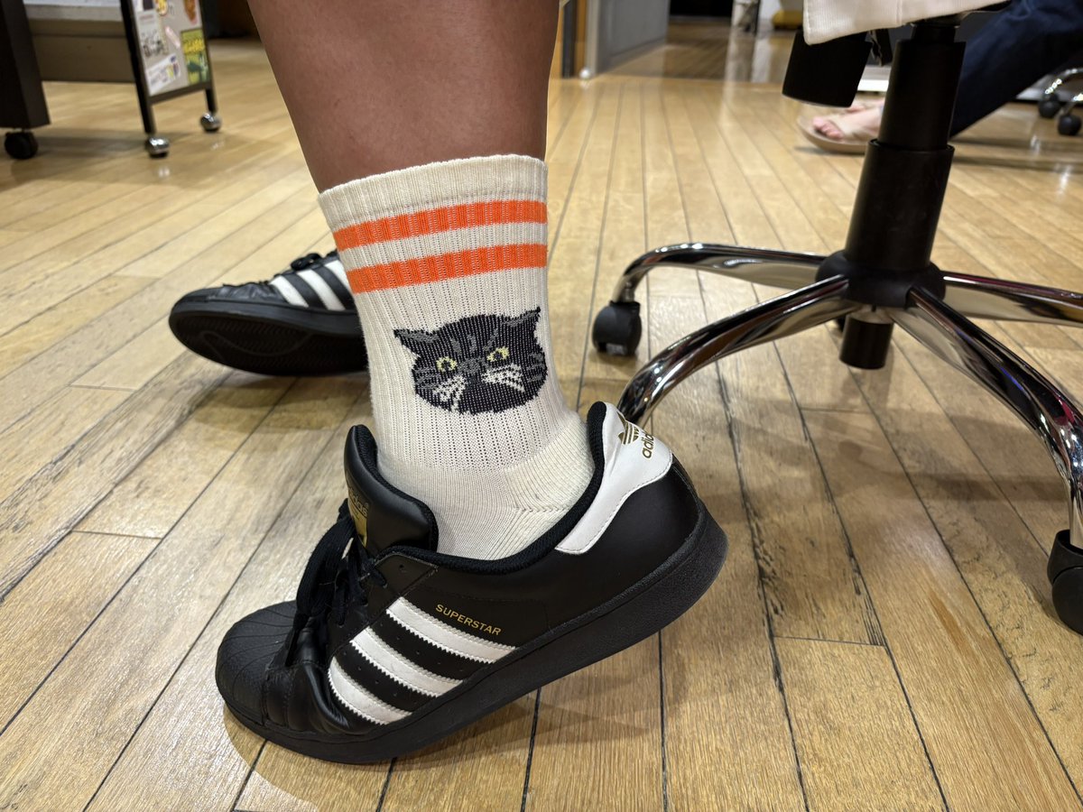 『#アナネツ』とつけて呟いていただいても🙆‍♀️
今日の真べぇ先生。
『見て！猫ちゃんの靴下🧦』
と。ほんまや。かわいい！猫ちゃん！
その後に一言・・・
『猫伸びてるねん🐈』
・・・ほんまや。。
#らじこー #飼ってる猫ちゃんに似てますね #かわいい #来週体重報告