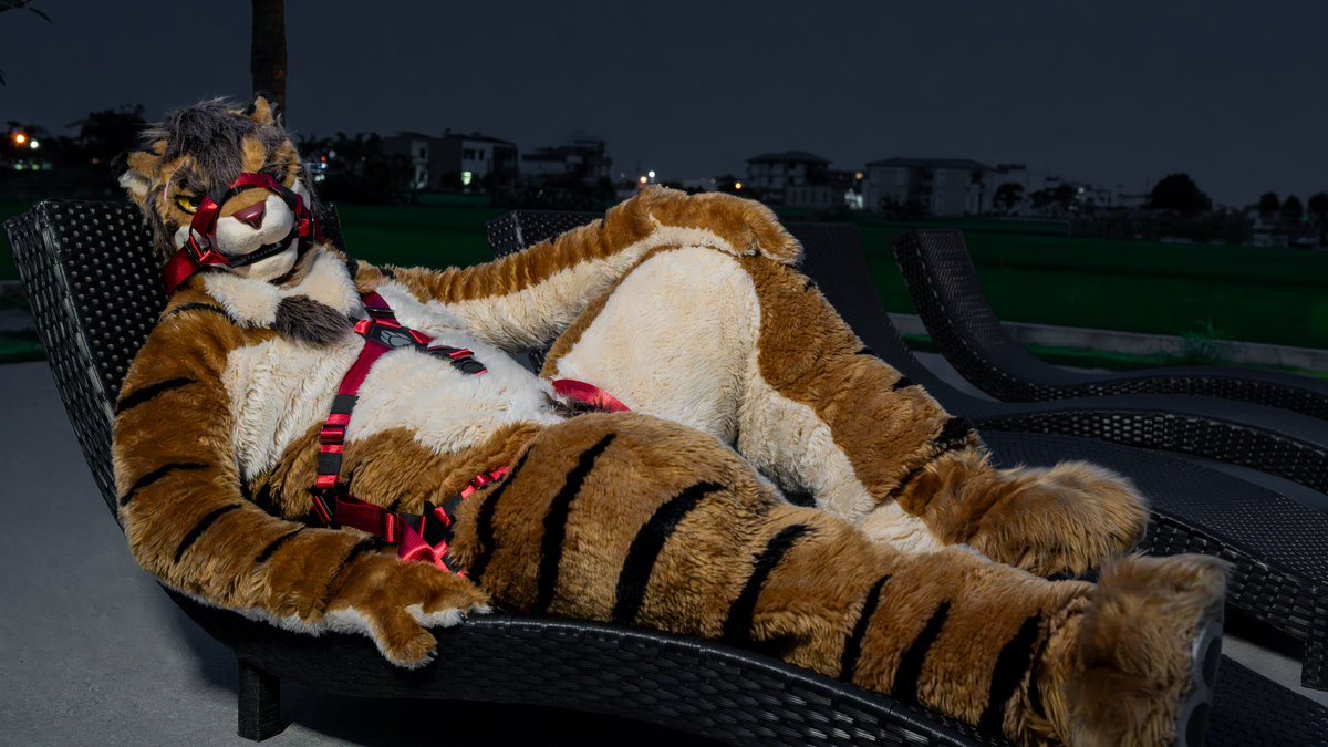 Chillin

📸 <a href="/Take82168451/">Hoshita Kesora 竹子 🐾UTFG</a> 

#FursuitEveryday  #犬工房