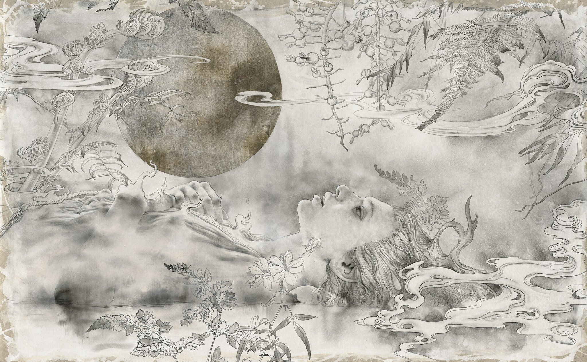 ✴︎羅 展鵬 (Lo Chan Peng)  作品集 ✴︎羅 展鵬 (Lo Chan Peng) 作品集 写真