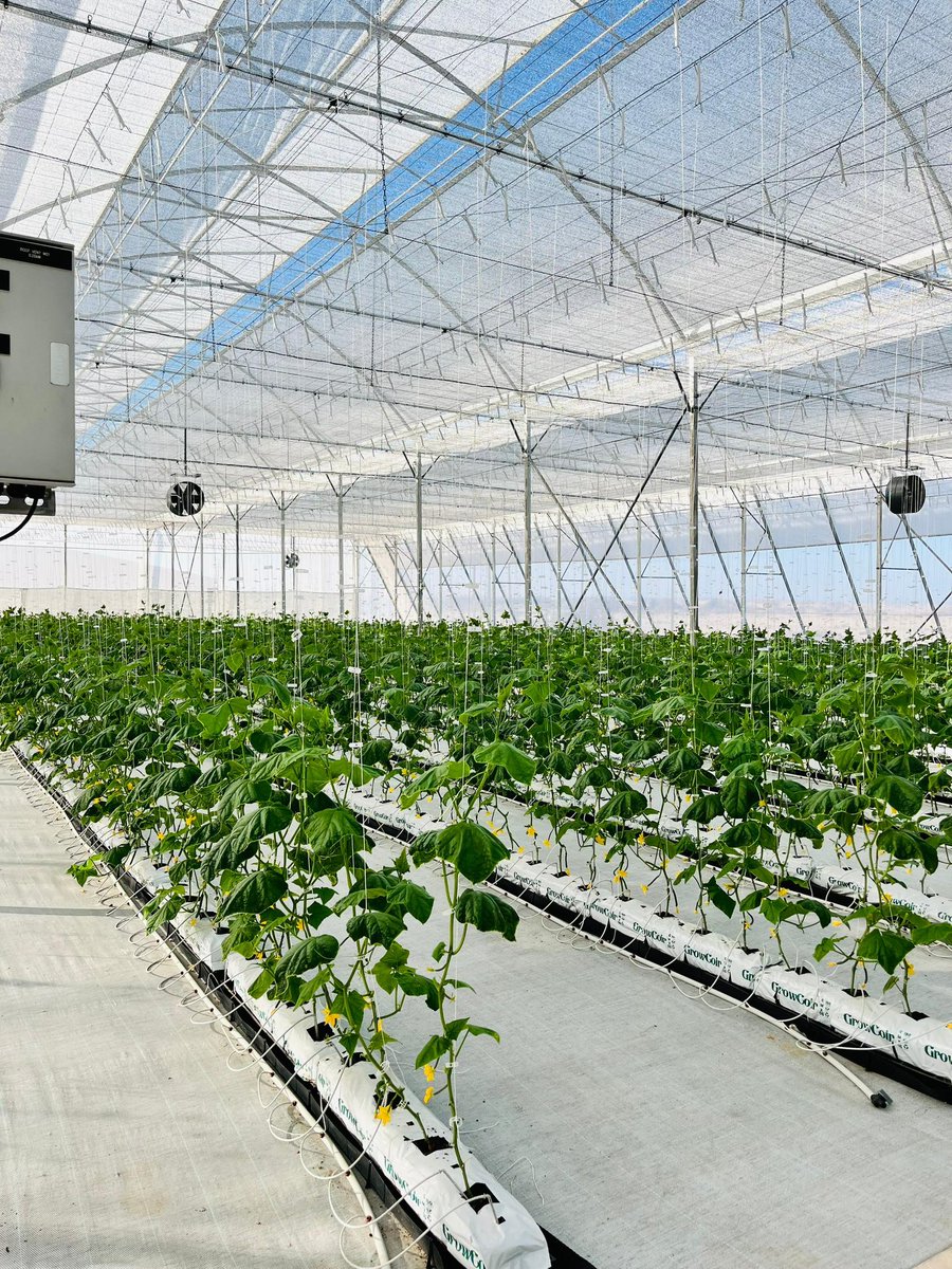 Daures Green Hydrogen Village tweet media