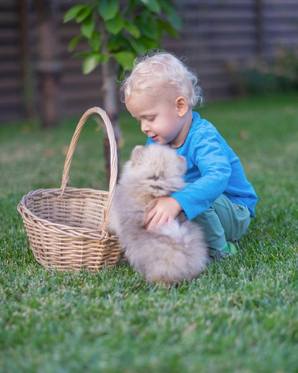 Pure joy starts here. 🐶👶🌿

Whether it’s puppy playtime or precious family moments, a soft, durable lawn makes all the difference.

🌱 Find a grower near you: 
theturfgrassgroup.com/find-a-grower/

#familyfun #puppyplaytime #turfgrassgroup #greenlawn #kidfriendlyyard #petfriendlygrass