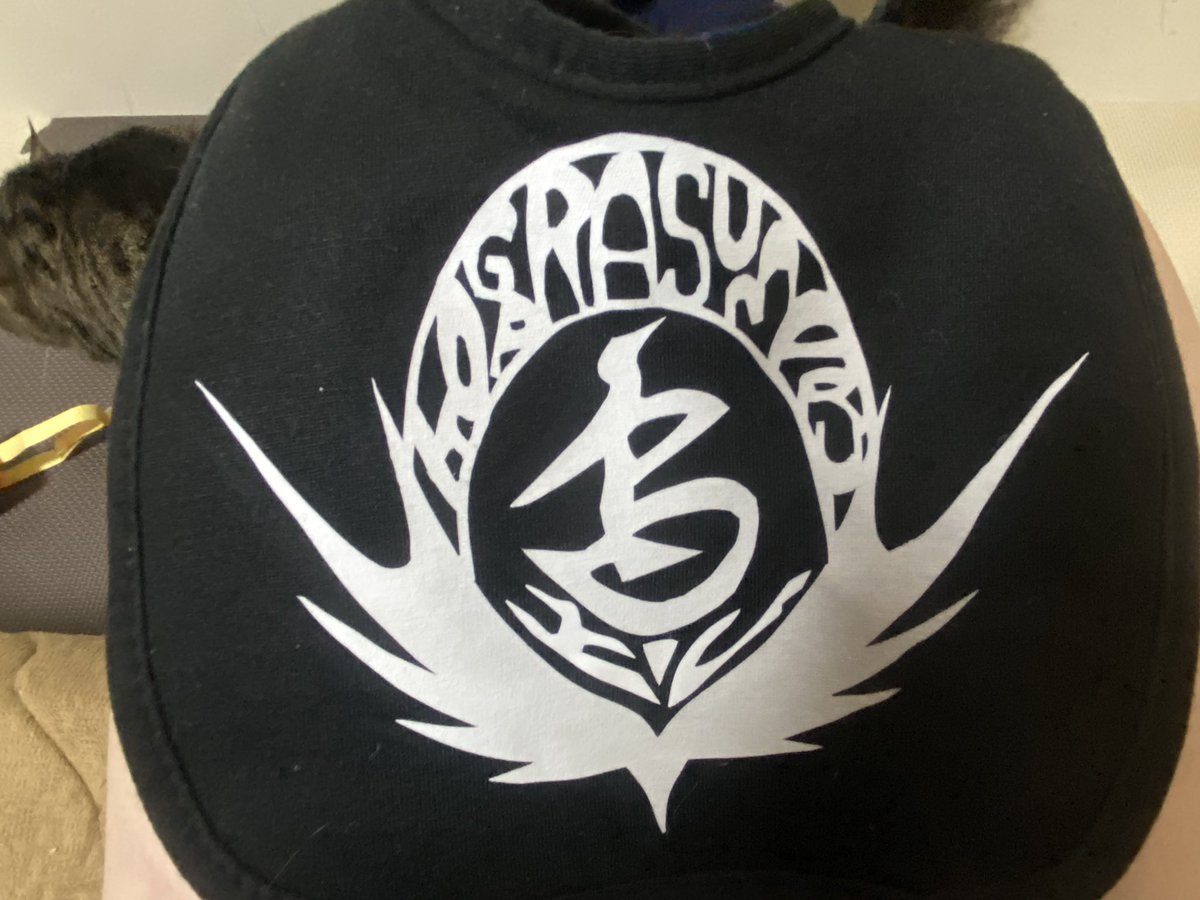 YMCK0330's tweet photo. 私の力作ぜひ見てほしい
ちょっとズレたけど
刺さる人には刺さるやつ

むしゅこの自作よだれかけ
次はネオジオンつくるよ😚💓💓 https://t.co/SWCzl6wCH5