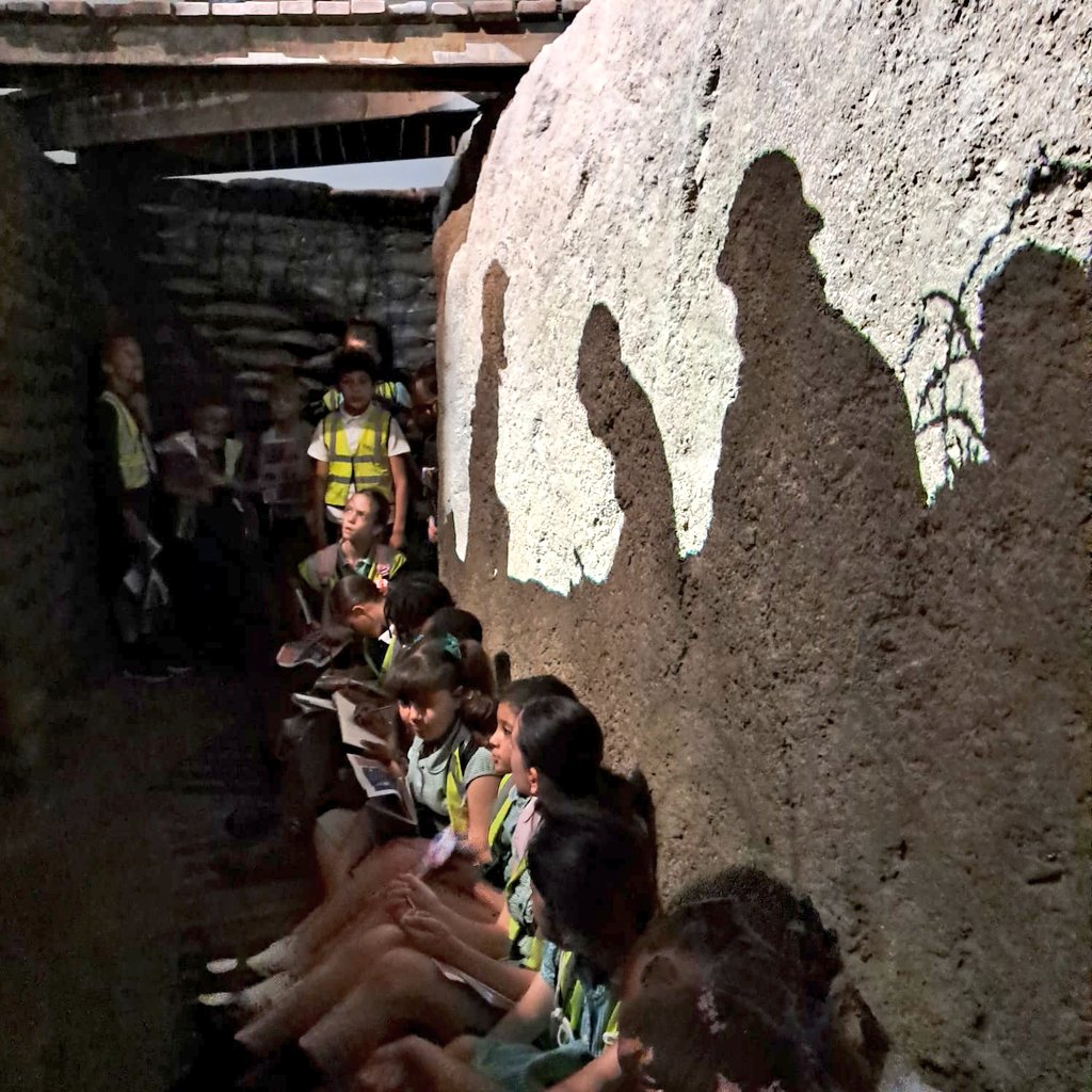 Albion Primary School tweet media