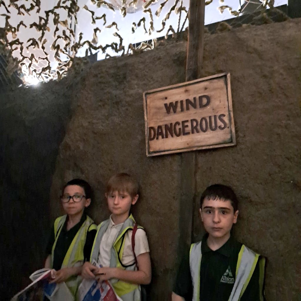 Albion Primary School tweet media