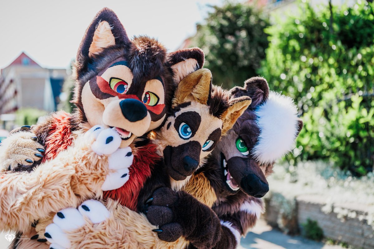 EspressoYeen's tweet photo. Had the fortune of spending time with these beautiful creatures including @mintycarl @KaineShepherd @Luckyspacewolf2 @zorin70601450 @DemoTheDutchie @dannifoxyfox @NinjaFox_DK @dvboggie &amp; more!

Big thanks to our hosts @UnityTheLynx &amp; @Nattrim for a lovely meet

📸: @KyanitePhotos https://t.co/AfcezepVRi
