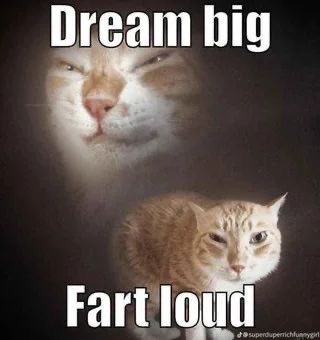 V-Slug (@virtual_slug) on Twitter photo 