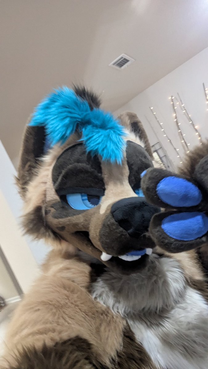 new marten on the block?