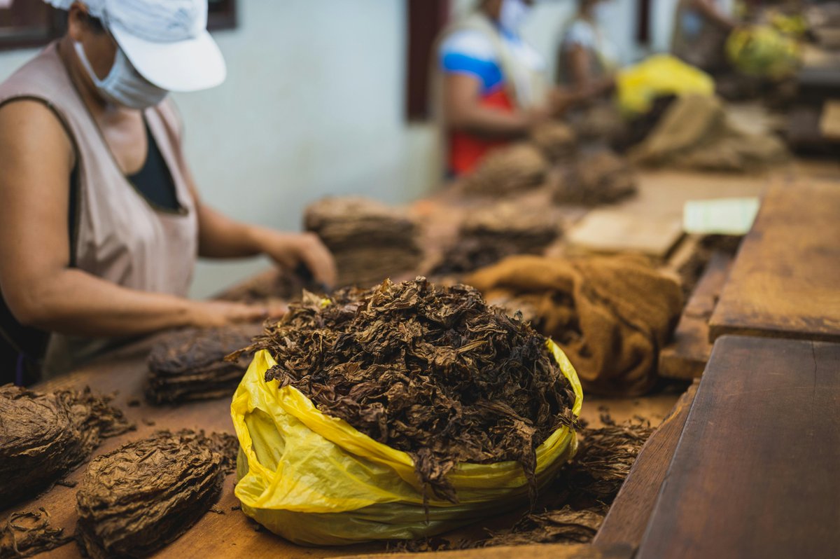 Universidad  🇹🇷 con experiencia en proyectos de la UE busca socios y coordinador para conversión de residuos agrícolas de tabaco en composites biodegradables. Convocatoria HORIZON-CL6-2025-01-CIRCBIO-01.
#EENCanHelp 
galacteaplus.es/servicios/deta…