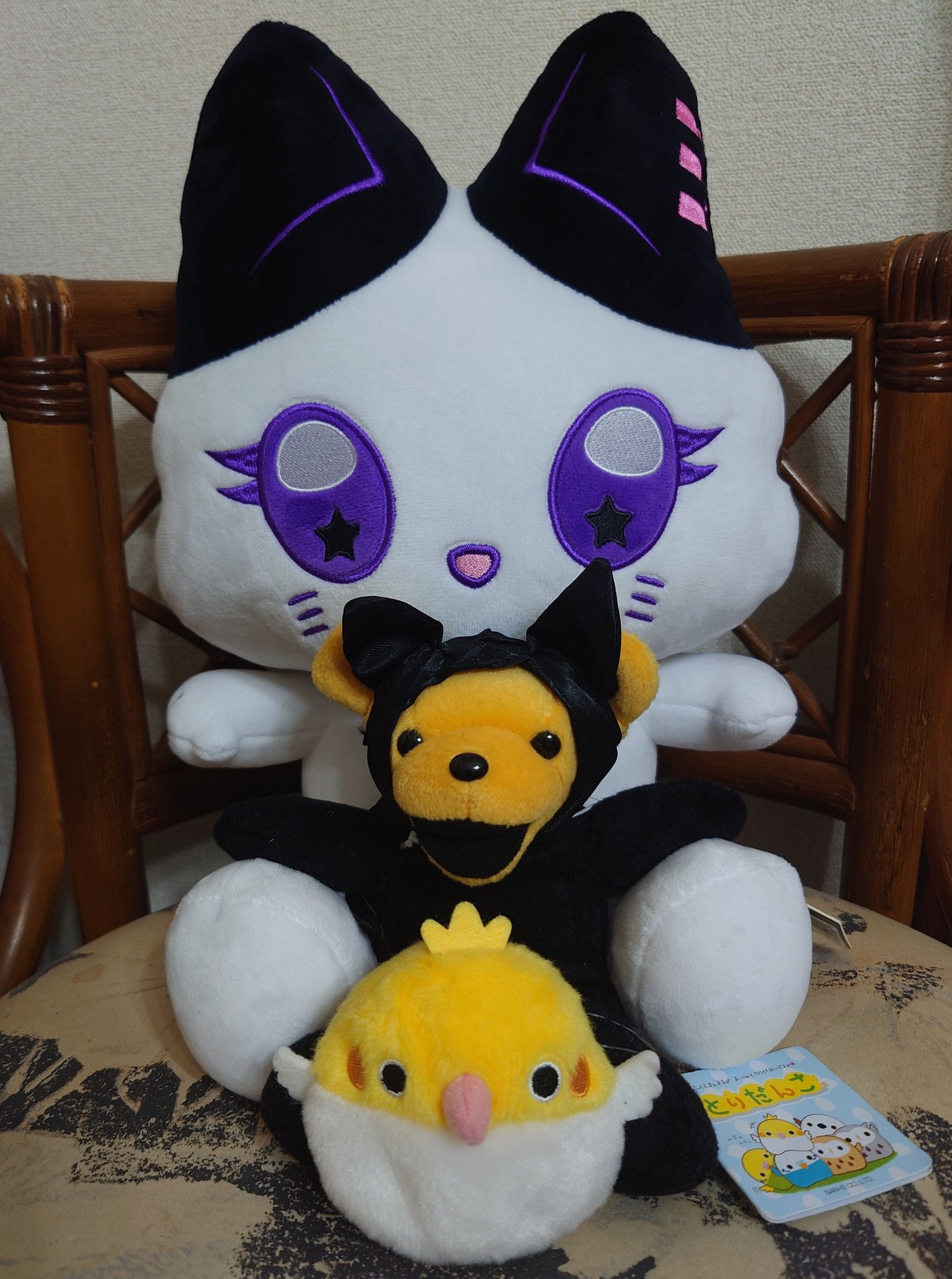 ミャイズ - Search / X