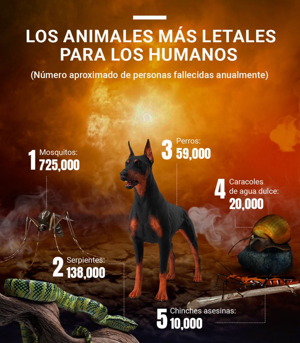 FERNANDO LÓPEZ-MIRONES tweet media