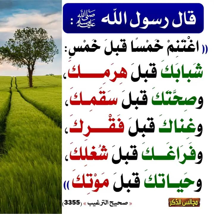 اللهم صلِ على نبينا محمد وعلى آله وصحبه الطيبين الطاهرين وسلم تسليما