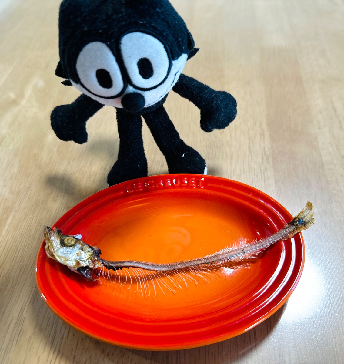 omamorineko's tweet image. #フィリックス #felixthecat
こんなにキレイに
お魚食べれたの
初めて〜✨😆
ししゃもは全部食べれるで
頭も骨も尻尾も
カルシウム、カルシウム🐈⬛