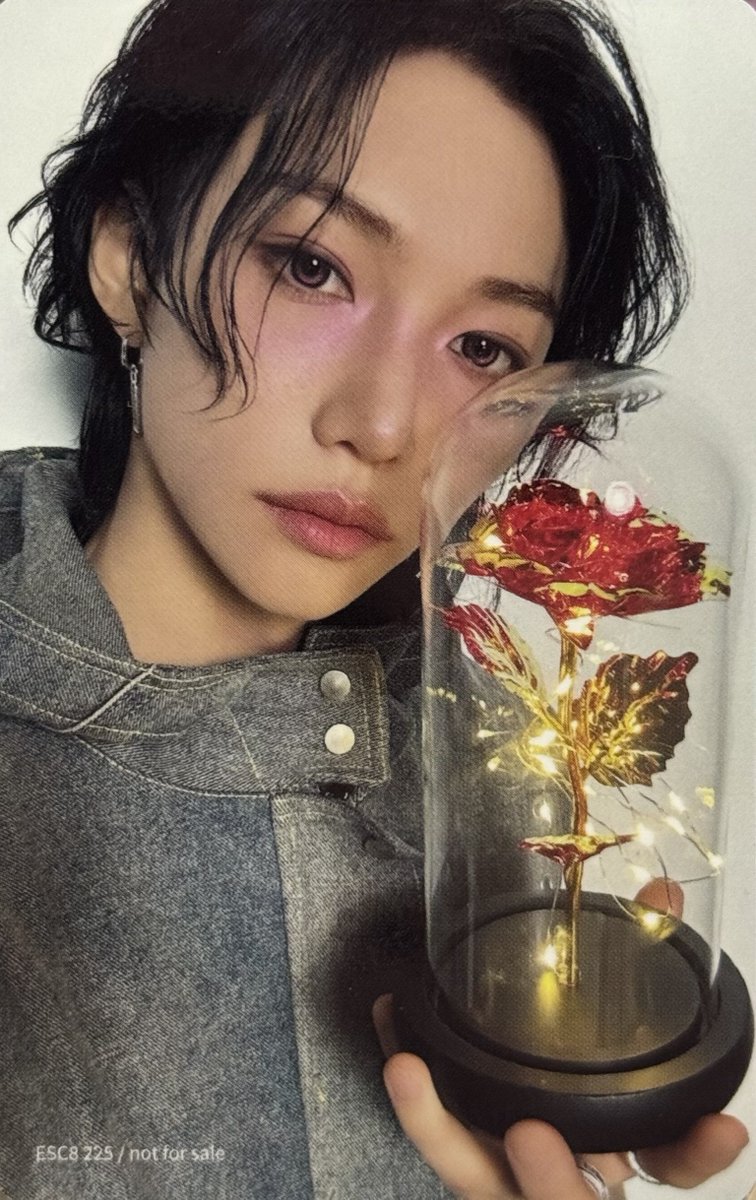 Hollow 팬클럽한정반 필릭스반 포카