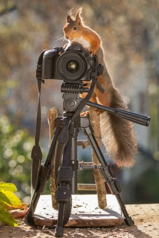 <a href="/GSmokesweed1/">Grandma Smokesweed</a> Morning Grandma!! Say Cheese!😏💪💙