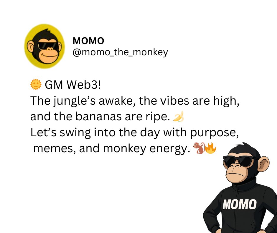 momo_the_monkey's tweet photo. Happy Tuesday ☀️🌴 https://t.co/C1lFV6rR5m