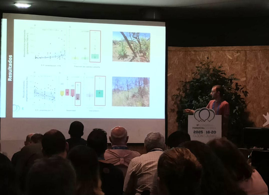 🌲 #CTFC9CFE
Gil Torné presenta los factores que determinan la regeneración post-incendio en Ribera de ebro en el marco de los proyectos #Umbraclim y #Vulnifor y la JRU <a href="/CTFC_Agrotecnio/">JRU CTFC-Agrotecnio</a> <a href="/Agrotecnio/">Agrotecnio Research Centre</a> <a href="/multivac42/">Aitor Ameztegui</a> <a href="/LColl_/">Lluís Coll</a>