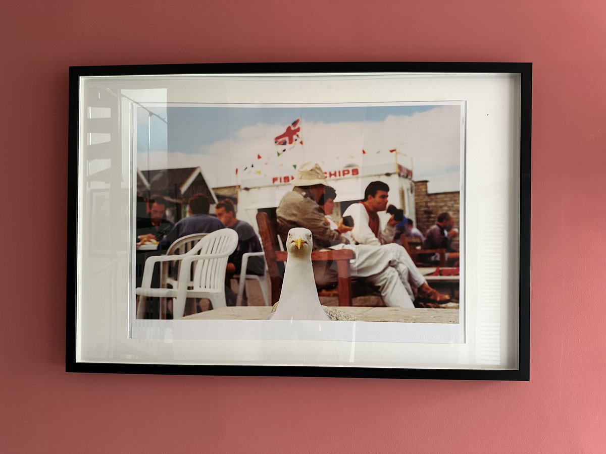 Fathers’ Day present installed. 

Bravo mon kidults ❤️❤️❤️

I love seagulls