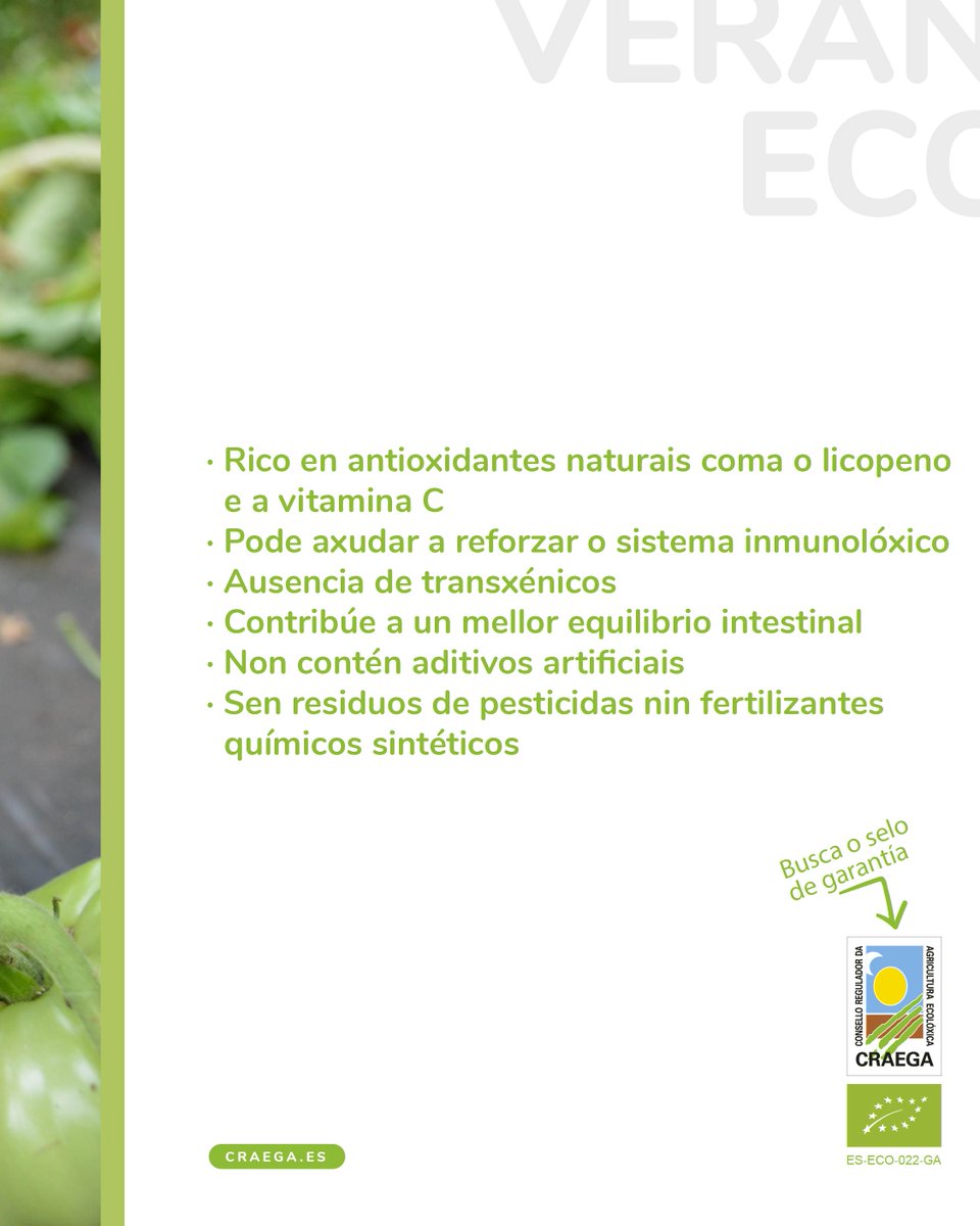 🍅🌿 𝗧𝗼𝗺𝗮𝘁𝗲 𝗲𝗰𝗼𝗹𝗼́𝘅𝗶𝗰𝗼: 𝘀𝗮𝗯𝗼𝗿, 𝘀𝗮𝘂́𝗱𝗲 𝗲 𝗰𝗼𝗻𝗰𝗶𝗲𝗻𝗰𝗶𝗮! 🌍🥗

Cultivado sen pesticidas, o tomate ecolóxico certificado conserva todo o seu sabor natural e os seus nutrientes 🌱🍃

🔎 Busca o selo do Craega e escolle tomate eco ✅🍅