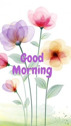 Good morning to all my wonderful Twitter Friends. Have a great day and don't forget to count your blessings!
