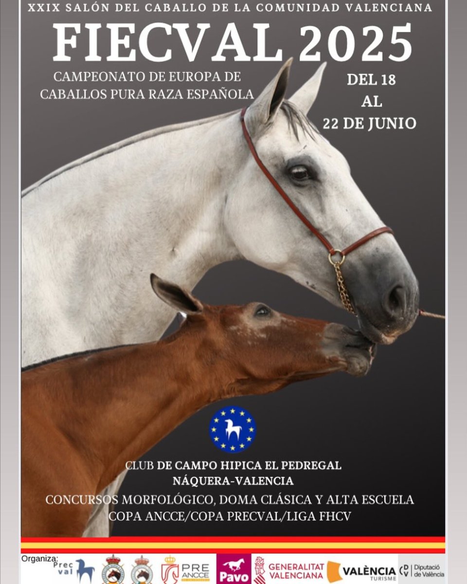Estaremos en FIECVAL 2025 🐴✨

📍 Del viernes 20 al domingo 22 de junio, te esperamos en nuestro stand en el Club de Campo Hípica El Pedregal, en Náquera (Valencia).

Estaremos encantados de asesorarte sobre:
✅ Servicios ANCCE y del Libro Genealógico

➡️ ancce.es/3045