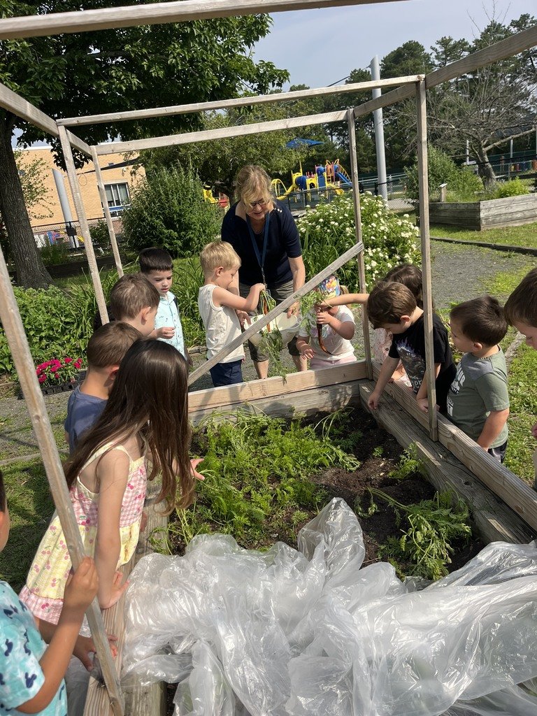 MTSD News tweet media