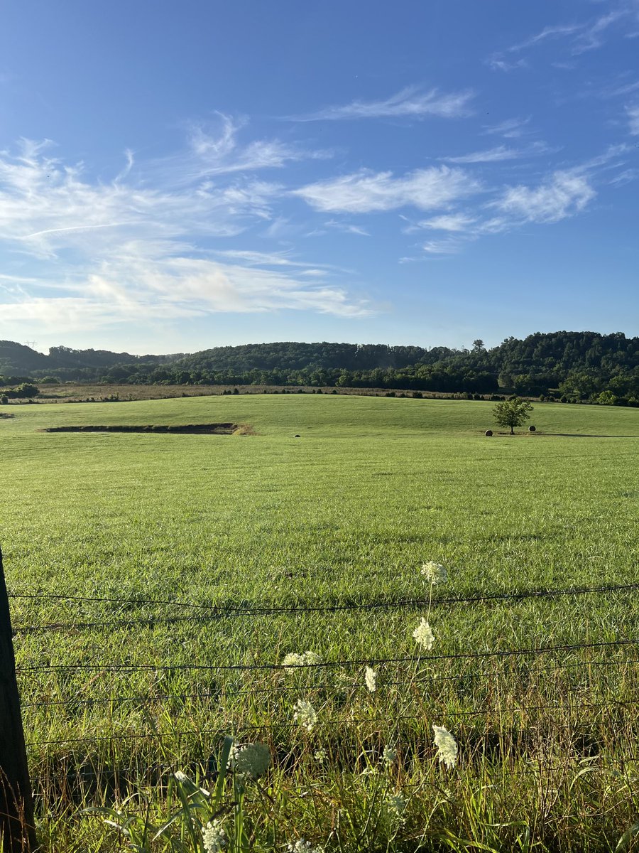 Kim Bridges tweet media