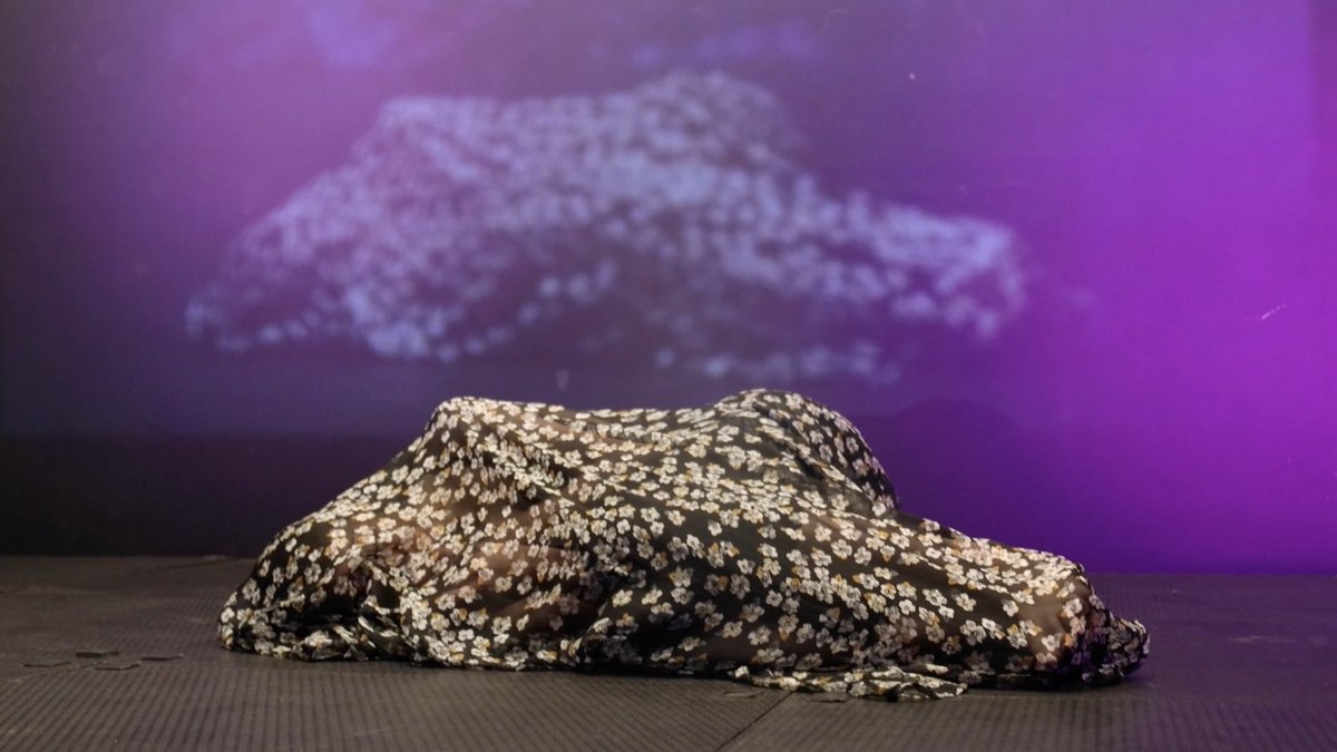 Zhenia Mahdi-Nau (She/Her) tweet media