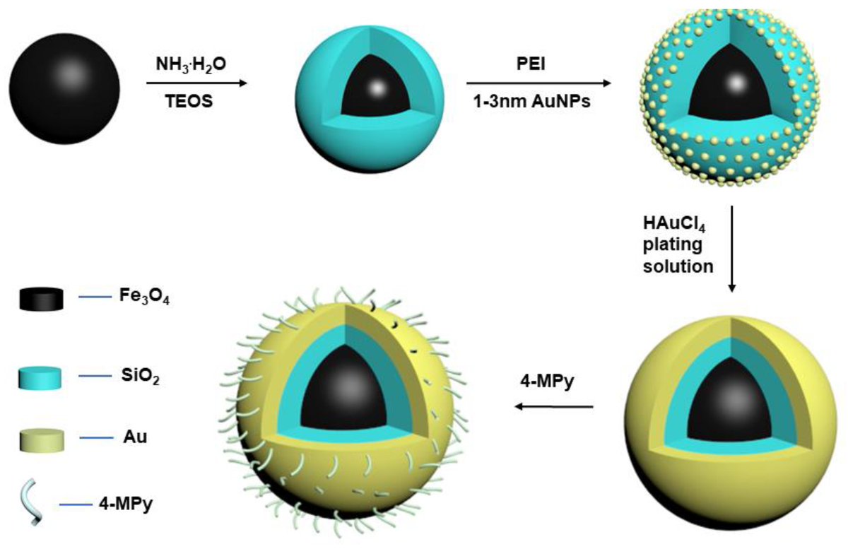 Chemosensors MDPI tweet media