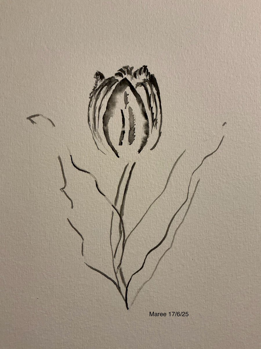 Tulip in watercolour 👇