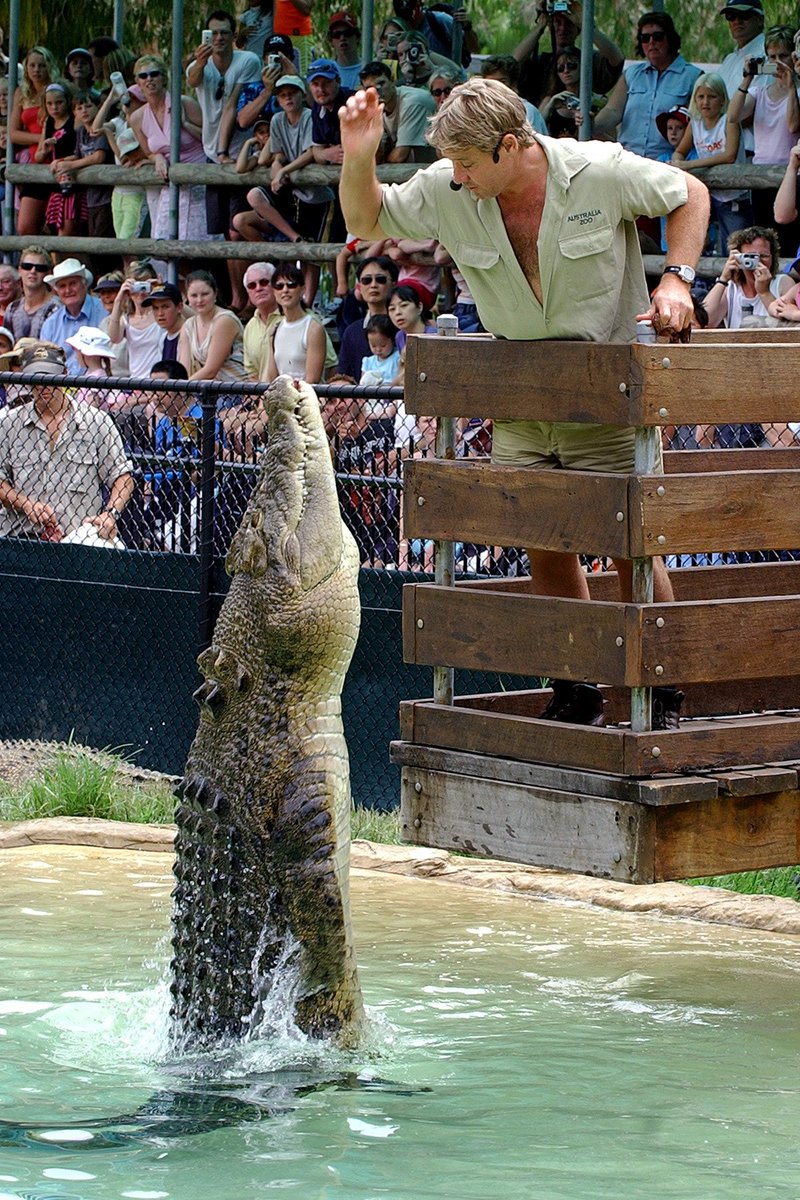 AustraliaZoo's tweet image. Throwing it back to the greatest of all time this #WorldCrocDay 🐊 We’re honoured to be continuing Steve’s mission of protecting crocodiles💚