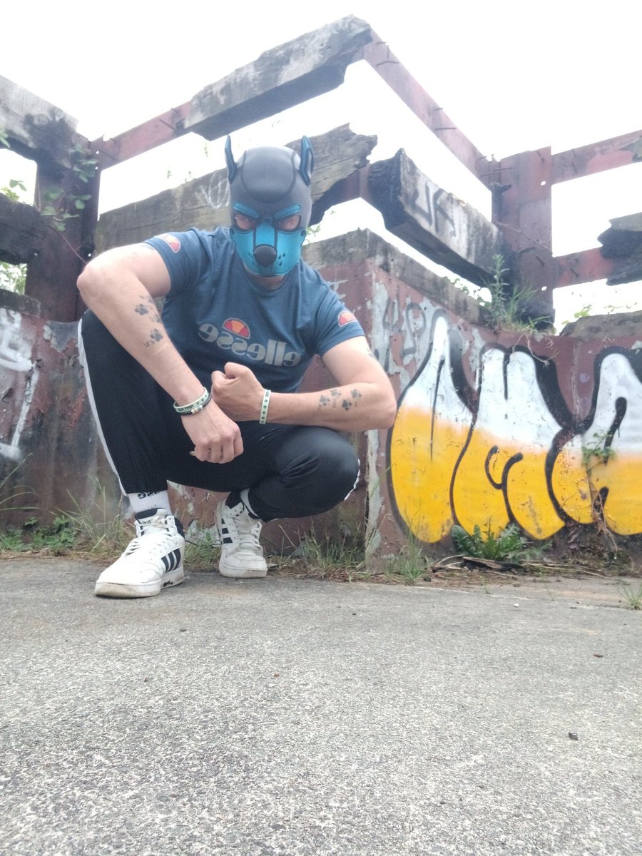 LukeSillery2024's tweet photo. Aurelius are you recording 😳 👀 🤔 
Said the muscle daddy chav doggo 🐶 
Come play ▶️ 🤪 https://t.co/g6d3GQ1ZJO