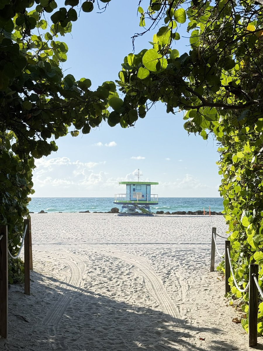 Emma_EG8's tweet image. Miami.