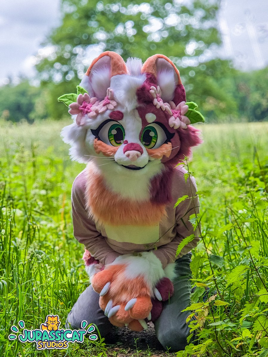 Just a little kitty playing in the grass! Will you join her? 😊