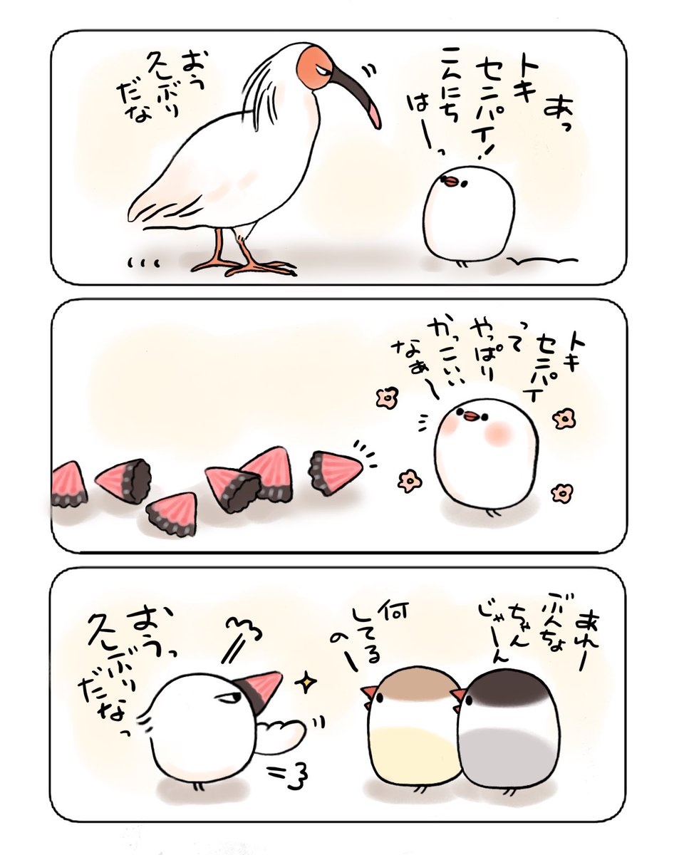 トキになりたいぶんちょ 