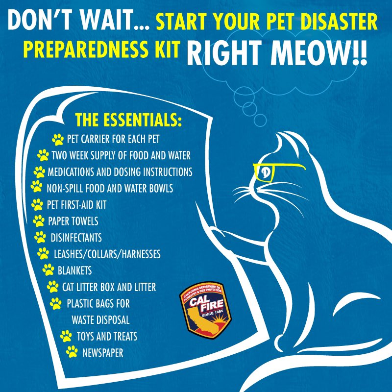 TMFPD's tweet image. Preparing your family for emergencies includes making sure your four-legged members are ready too.

Build a pet disaster preparedness kit with food, water, medications, ID tags, leashes, and comfort items.

#PetPreparedness #WildfireReady #EmergencyEvacuation #FurFamily