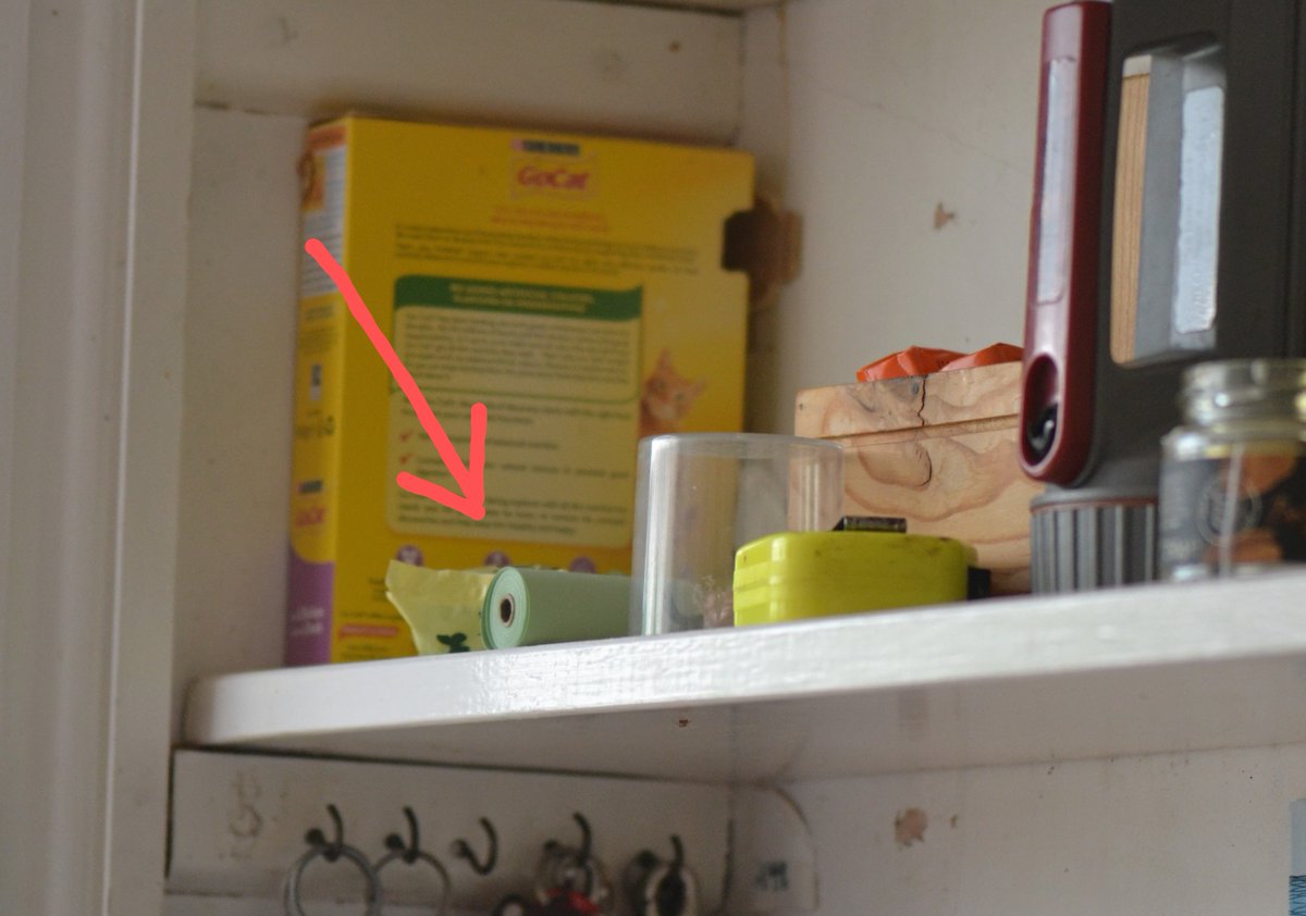 Last night I noticed a female Mason Bee has nested in the cardboard roll of some poo bags - up on a shelf inside the house. She's been coming through 2 doors to get there.  So now I'll be leaving those doors open all day, and I've ordered a new roll of bags!😀🐝💖