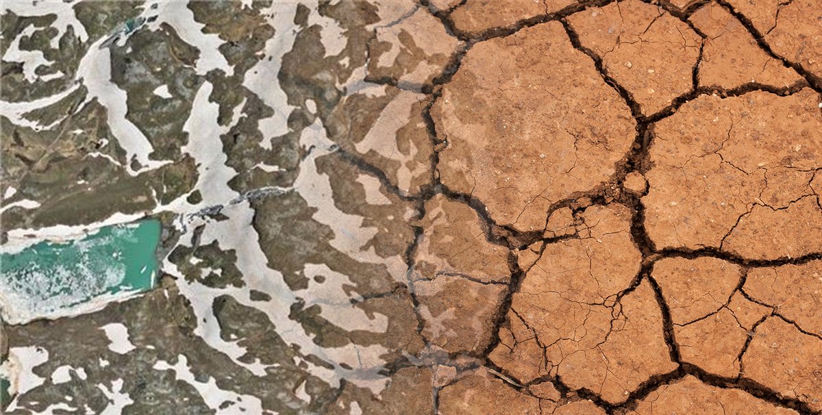 CIMA Research Foundation tweet media