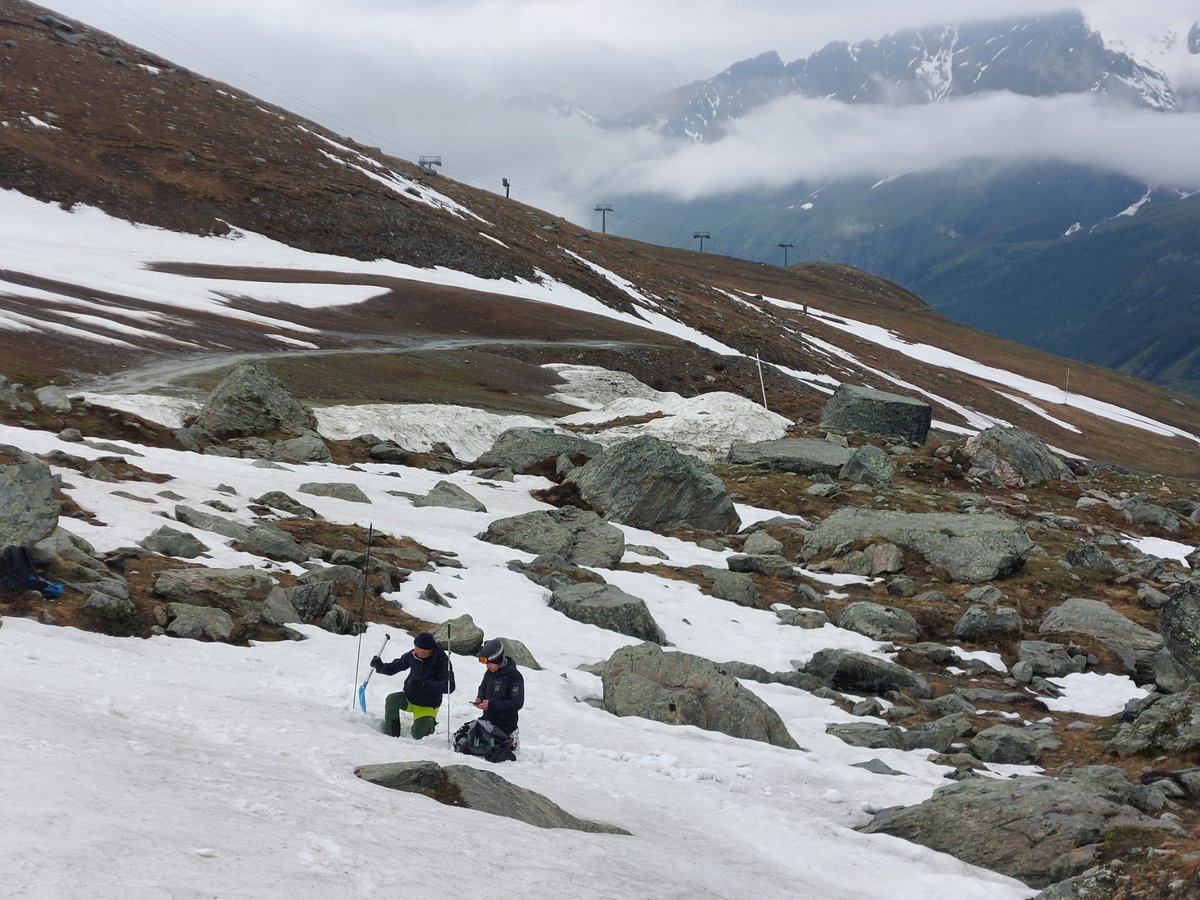 La lotta alla #siccità comincia anche da un manto nevoso che cambia forma. Al centro del VI Interconfronto #SWE, le #snowpatches aiutano a capire il ns futuro idrico.
Ve lo raccontiamo oggi in occasione del #DesertificationAndDroughtDay #UNited4Land
🆕cimafoundation.org/news/interconf…