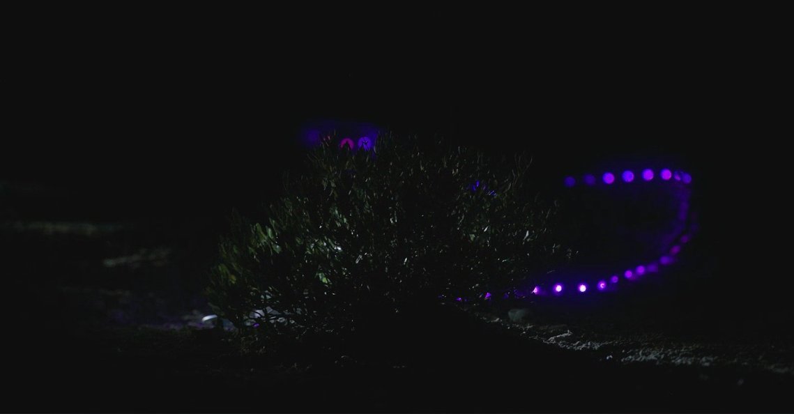 🌍 Hoy es el #DiaMundialContraLaDesertificacion 

Os mostramos algunas de nuestras investigaciones en zonas áridas para visibilizar su valor ecológico, social y económico. 🌵

🔗 Aquí toda la info: bit.ly/45Xz10v

📷 Alex Muñoz Ayuda ComCientifica CSIC-FBBVA 2023